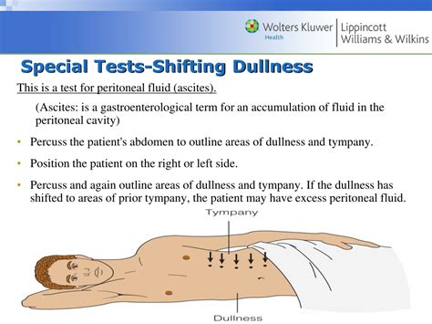 scratch test abdomen|what is shifting dullness.